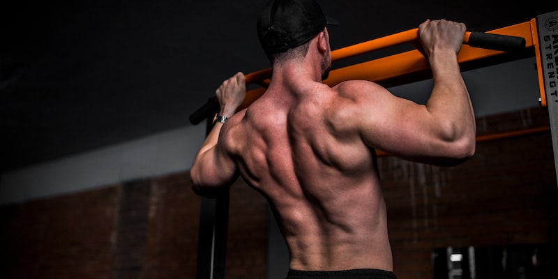 Beeinflusst Laufen oder Sprinten Muskelaufbau-Gewinne beim Bodybuilding?